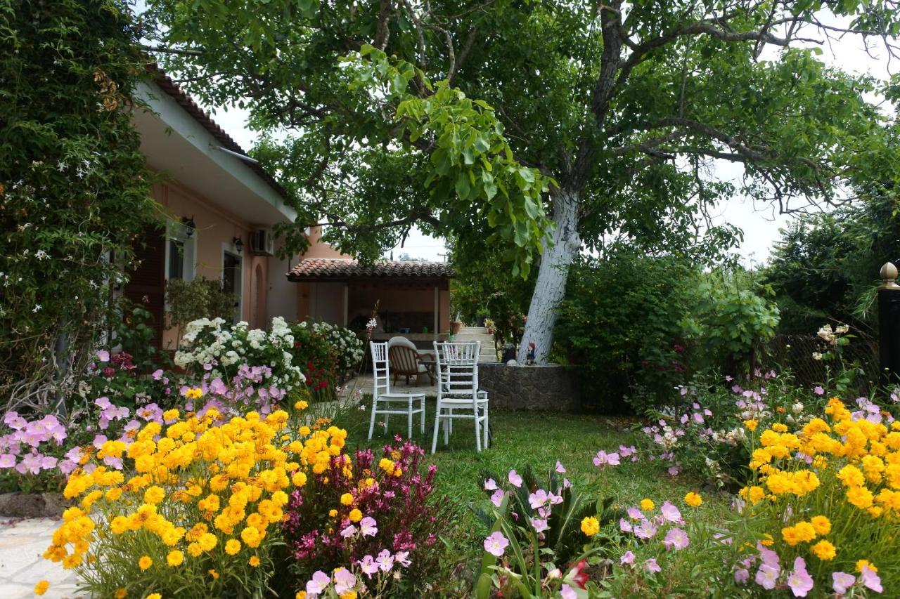 Mina's Serene Garden House Appartement